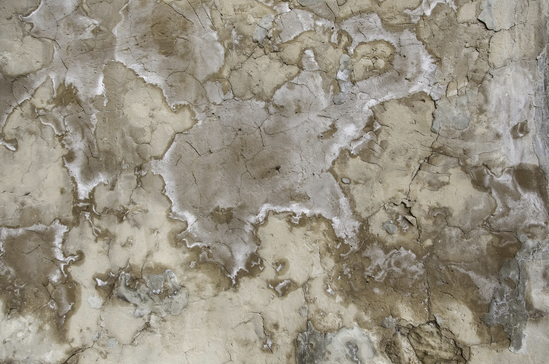 Cement wall with humidity