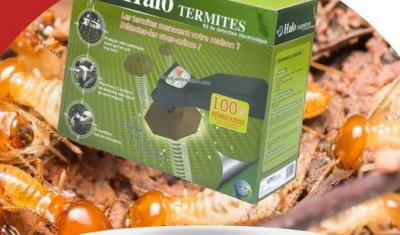 Halo Termites : kit de détection électronique