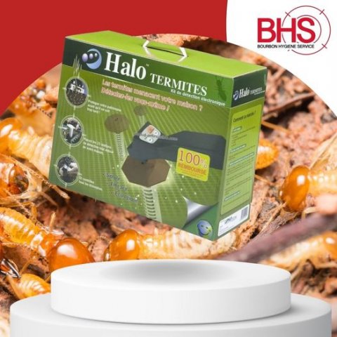 Halo Termites : kit de détection électronique