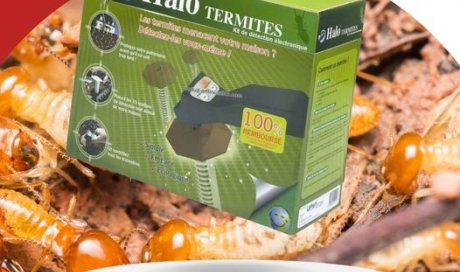 Halo Termites : kit de détection électronique