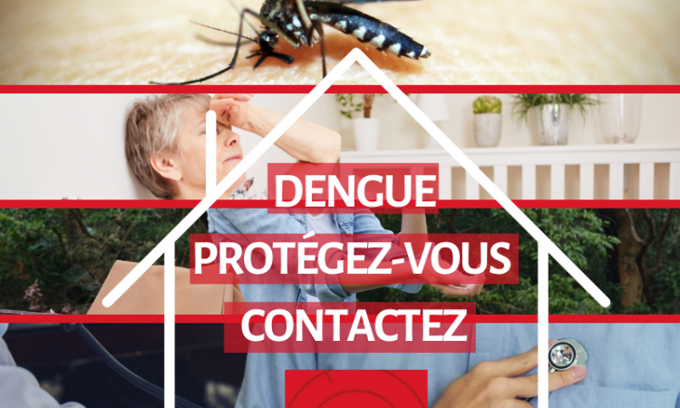 BHS : PROTEGEZ VOUS CONTRE LA DENGUE